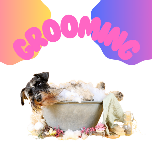 The Ultimate Guide to Dog Grooming