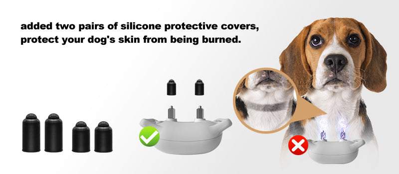 T200 Remote Training Collar with silicone protective covers to prevent dog skin burns, shown on a beagle dog