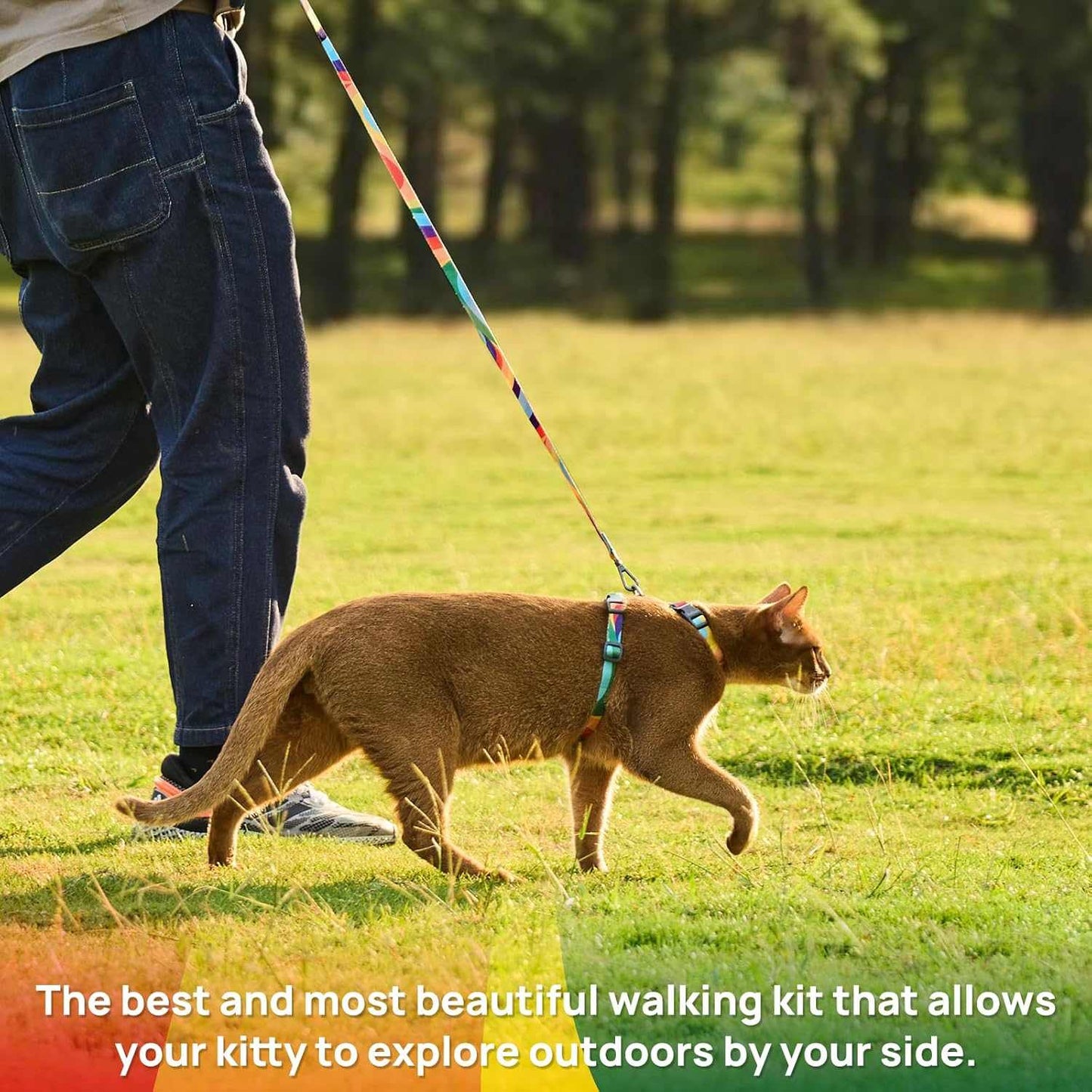 Cat harness and leash set with colorful adjustable harness for safe outdoor walking of cats