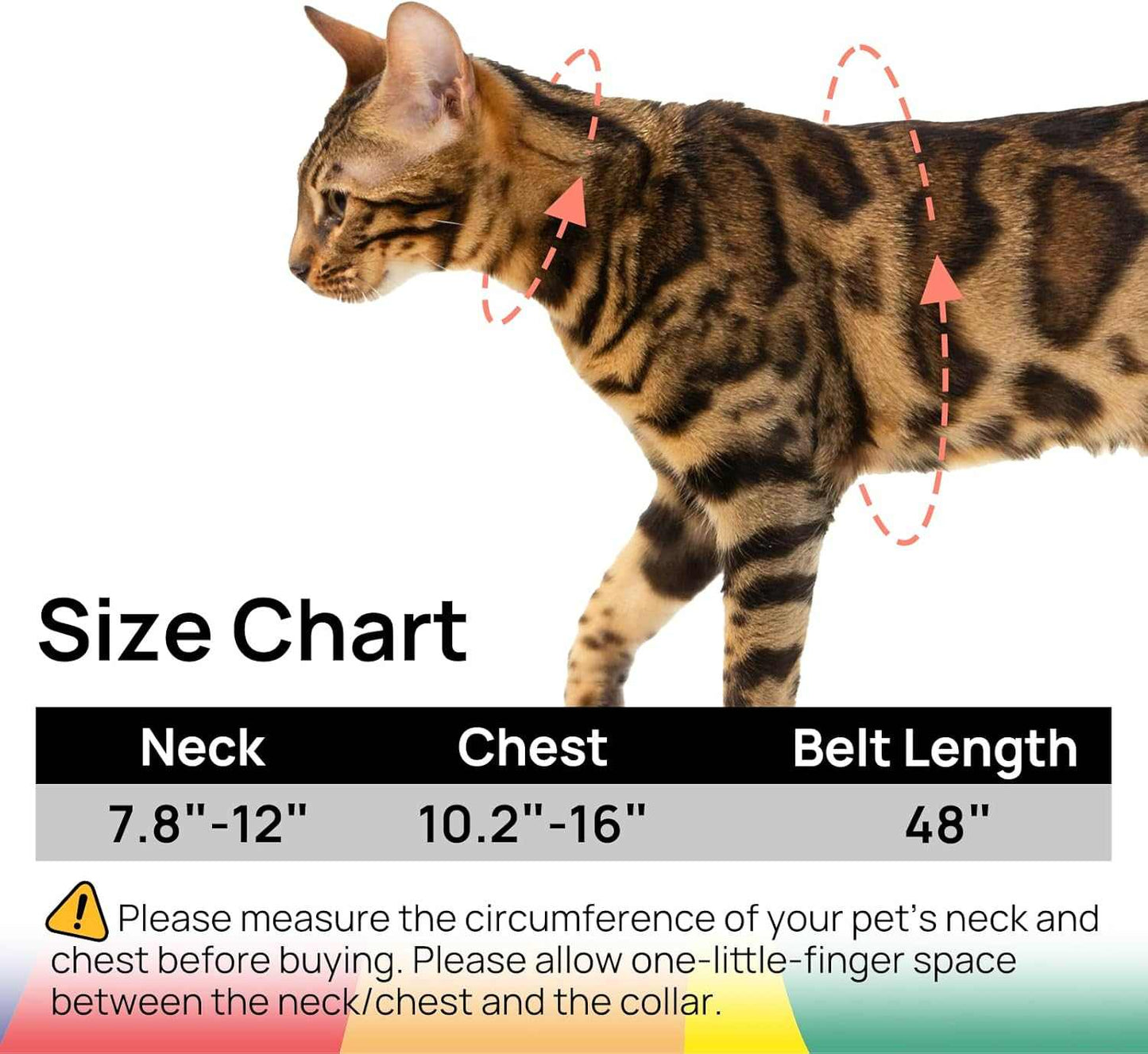 Cat harness and leash set size chart showing neck and chest measurements for fitting outdoors