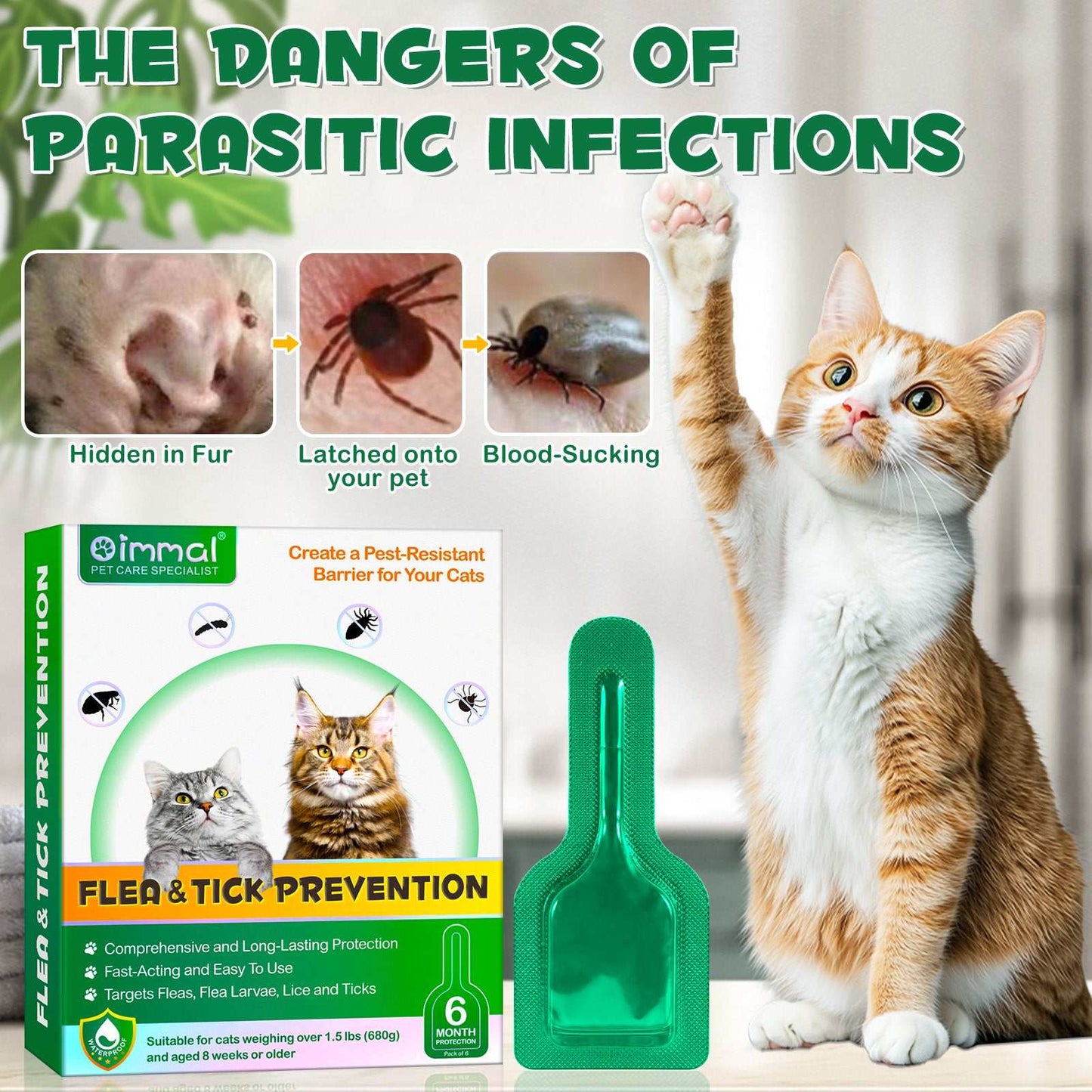 Oimmal flea and tick treatment for cats with protective formula and packaging alongside an orange and white cat raising paw
