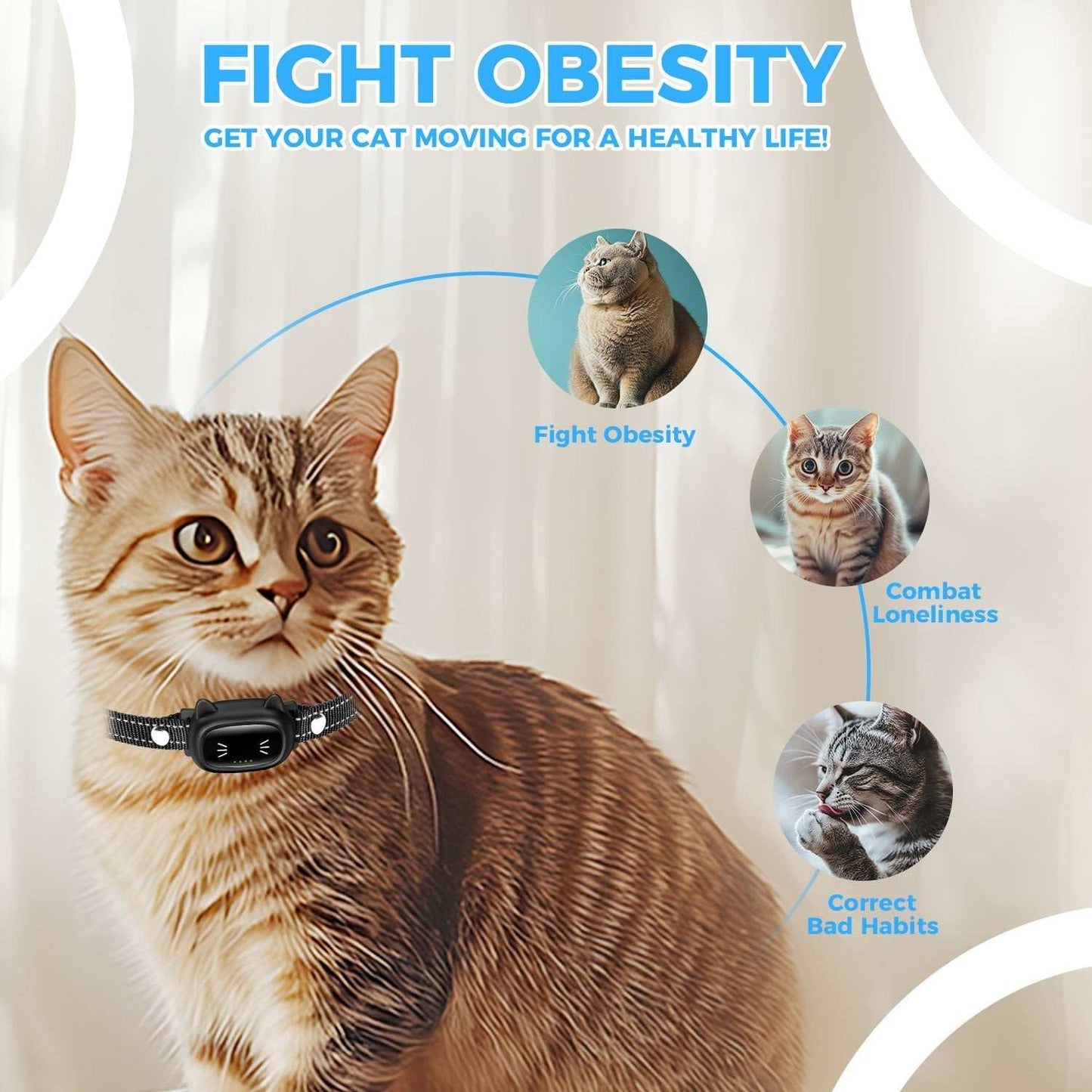 Cat wearing Advanced Remote Cat Trainer collar to fight obesity, combat loneliness, and correct bad habits