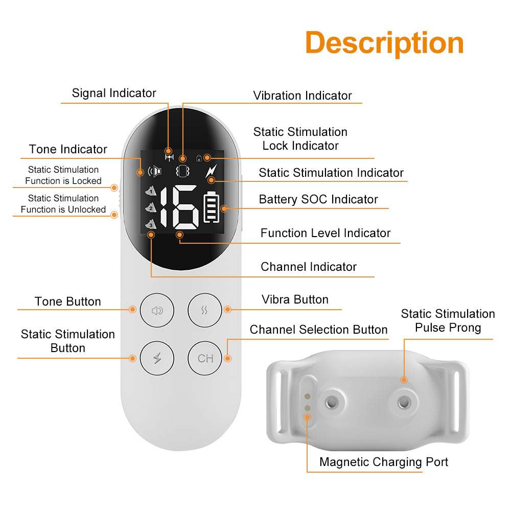 T200 Remote Training Collar with remote control, magnetic USB charging, static stimulation, vibration modes, waterproof and adjustable strap.