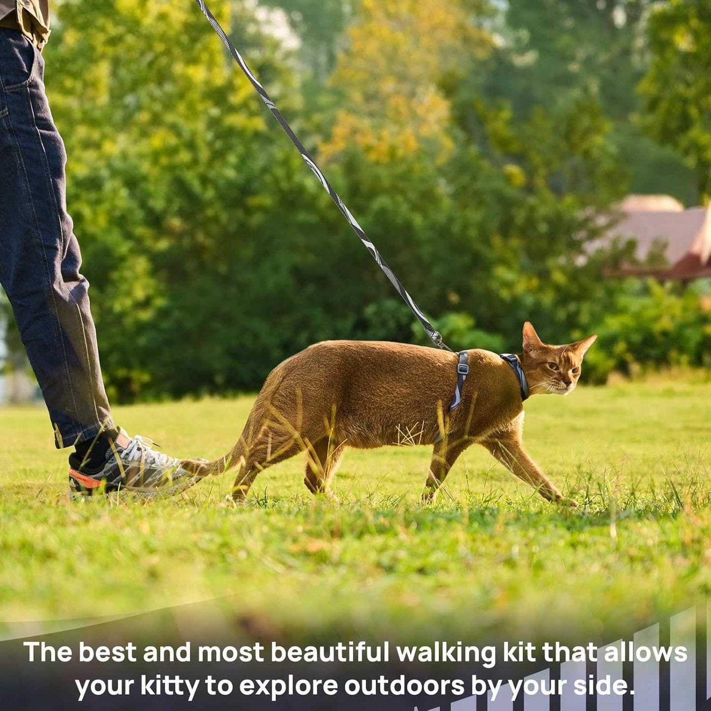 Cat wearing adjustable tangle-free harness and leash set for outdoor walking beside person in park