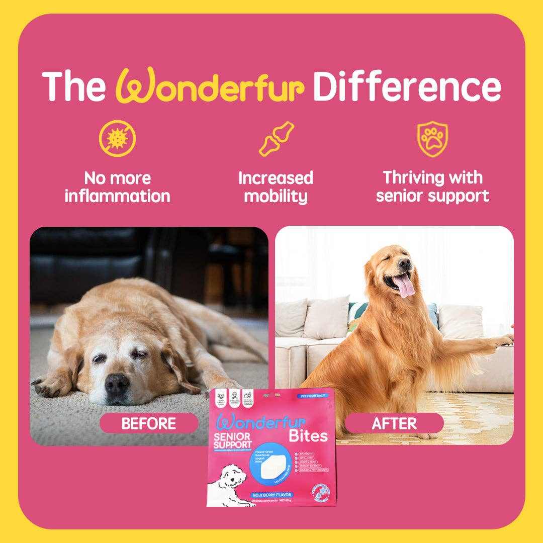 Before and after images showing improved mobility of senior dog using Wonderfur Bites Senior Support for Dogs with package visible