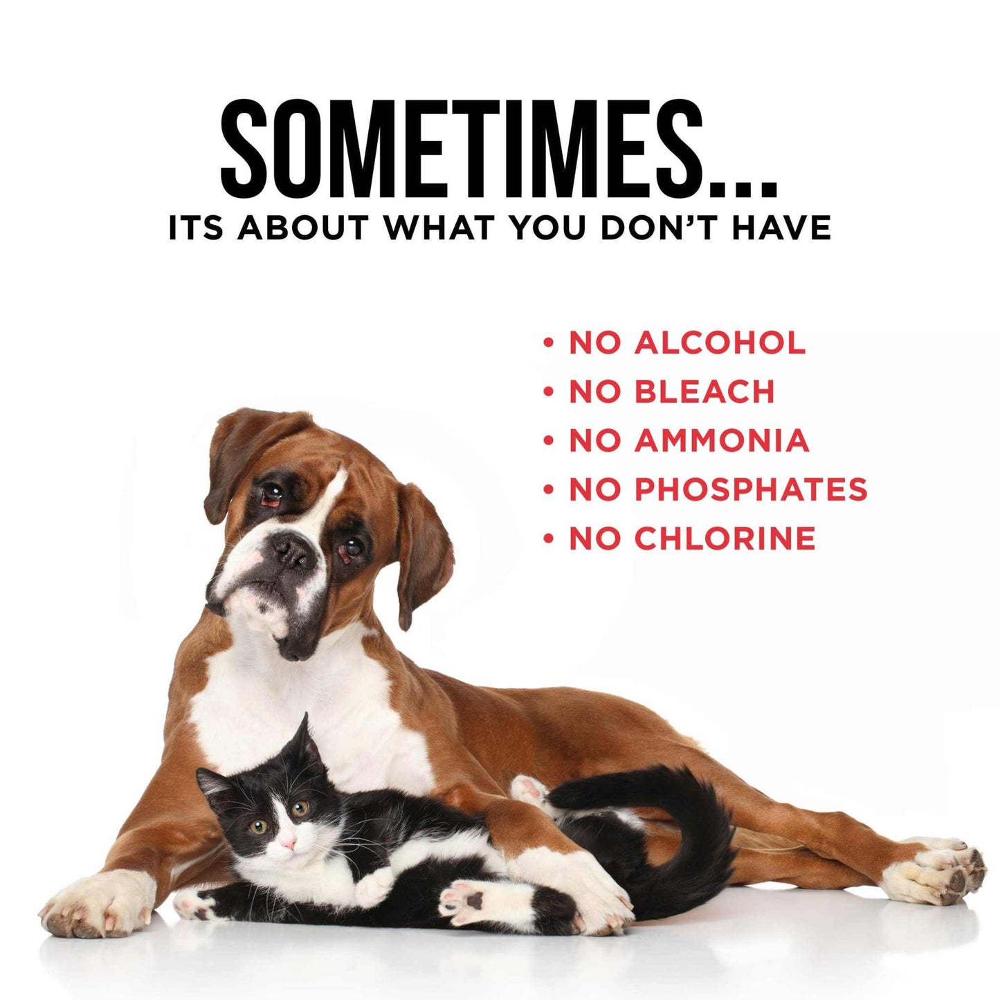 Pet stain and odor remover safe for pets, no alcohol, bleach, ammonia, phosphates, or chlorine, effective carpet cleaner for pets.
