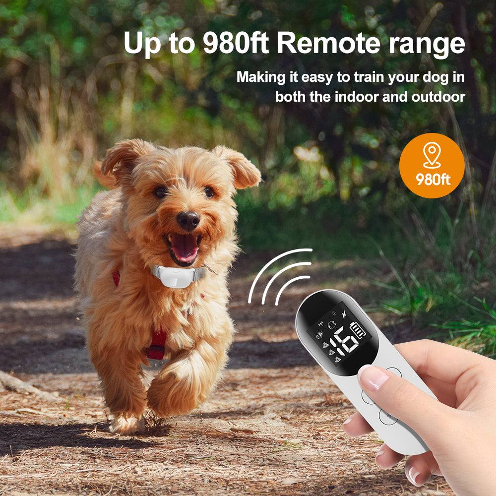 Small dog wearing T200 remote training collar with hand holding remote showing 980ft range in outdoor setting