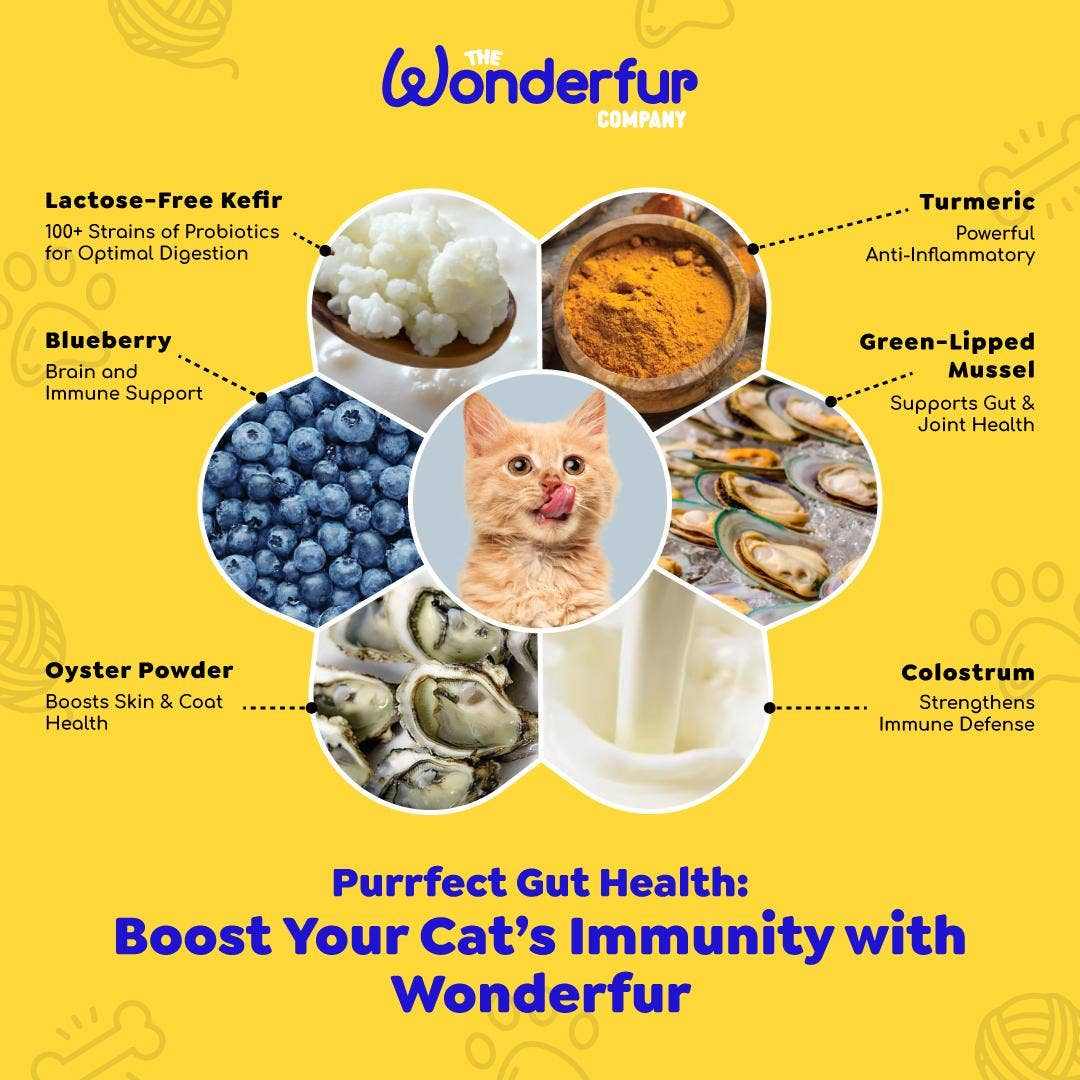 Wonderfur Bites - Immune Booster for Cats with probiotics and vitamins.