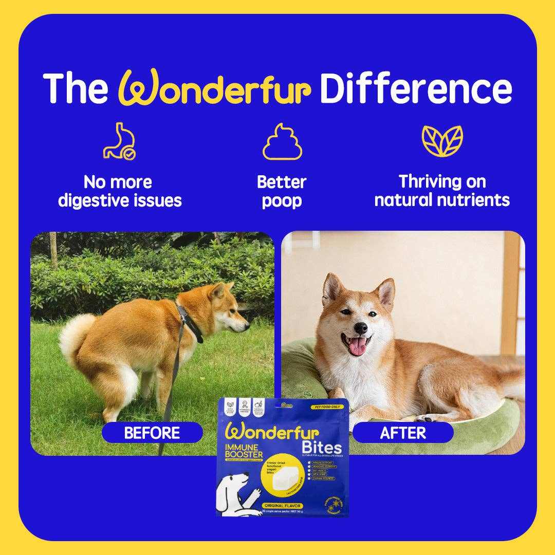 Wonderfur Bites immune booster dog treats supporting digestion and natural nutrients with before and after dog images