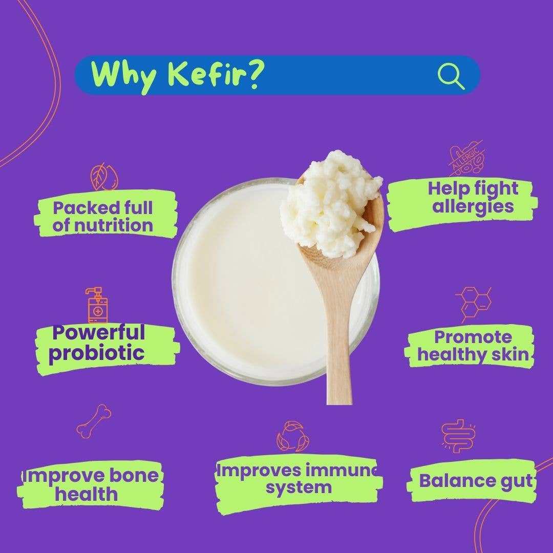 Wonderfur Bites senior cat treats with kefir for gut health, immunity, bone support, and allergy relief