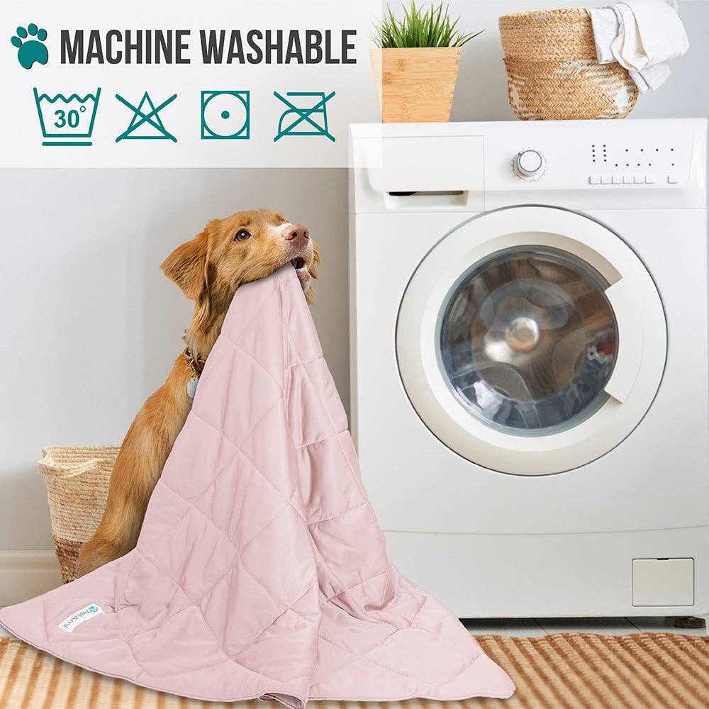 Dog holding soft pink cooling pet dog blanket next to washing machine, machine washable pet blanket for dogs and cats