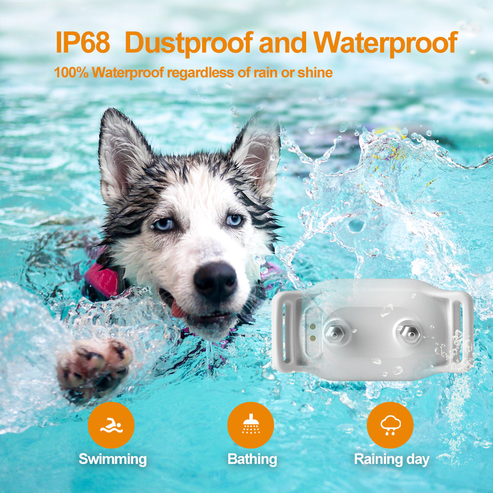T200 Remote Training Collar waterproof dog collar swimming and bathing safe with IP68 dustproof and waterproof rating