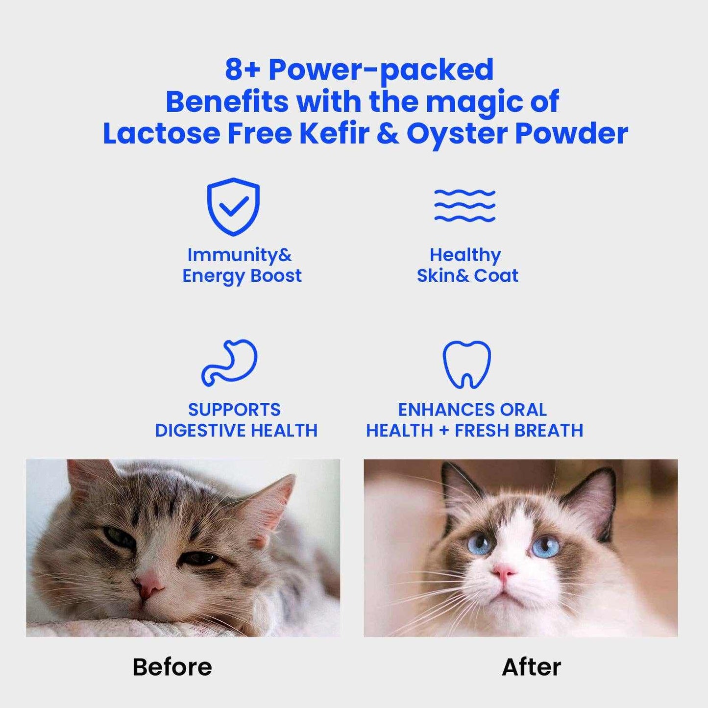 Wonderfur Bites immune booster benefits for cats with probiotics and vitamins.