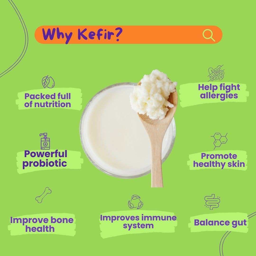 Wonderfur Bites immune boosting freeze-dried cat treats with probiotics and multivitamins for gut health and allergy relief