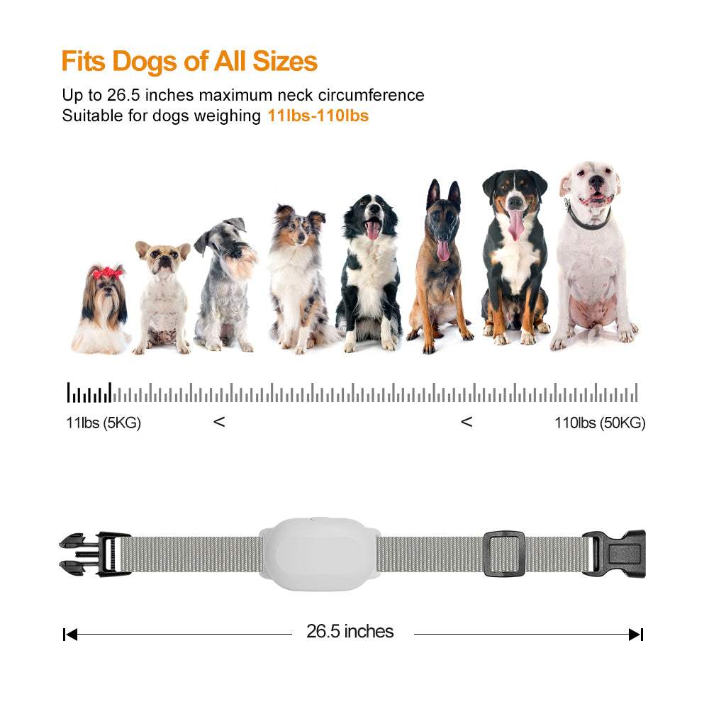 T200 Remote Training Collar adjustable waterproof anti-bark collar for dogs 11 to 110 lbs and up to 26.5 inch neck circumference