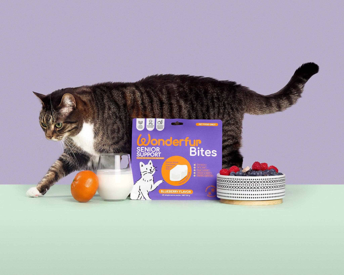 Wonderfur Bites Senior Support for Cats packaging with milk, orange, and fruit bowl.