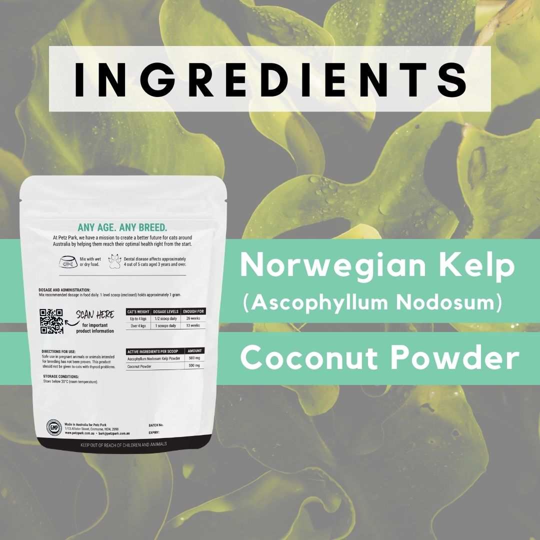 PetzPark Plaque Control cat dental powder with Norwegian kelp and coconut powder ingredients