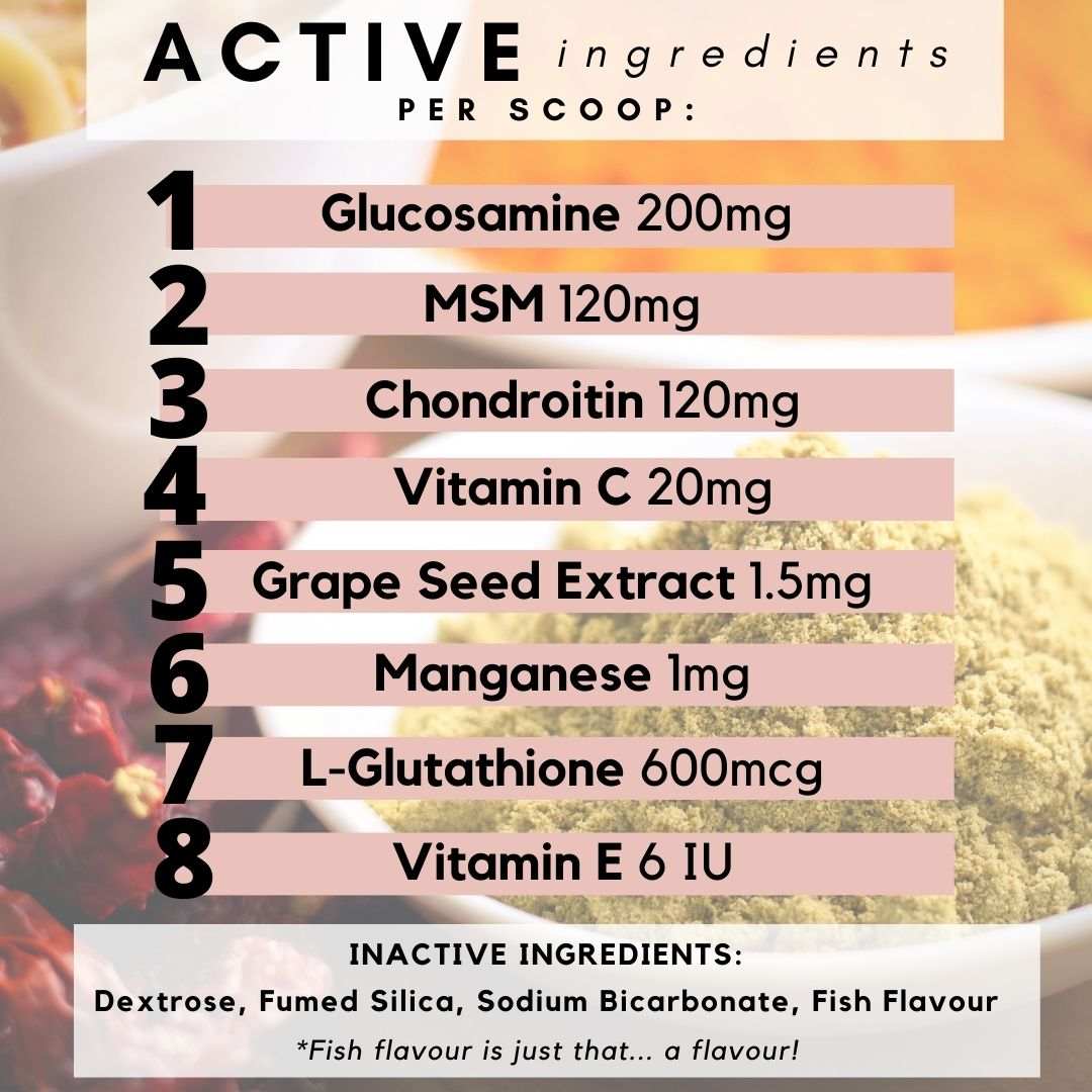 PetzPark Hip and Joint for Cats supplement with glucosamine, MSM, chondroitin, vitamins C and E, and grape seed extract for joint health and mobility.