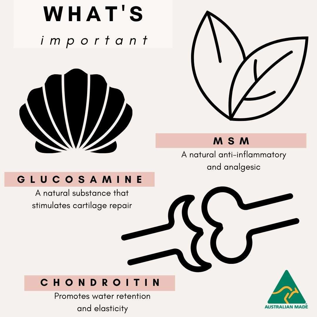 PetzPark Hip and Joint supplement ingredients glucosamine MSM chondroitin for cats