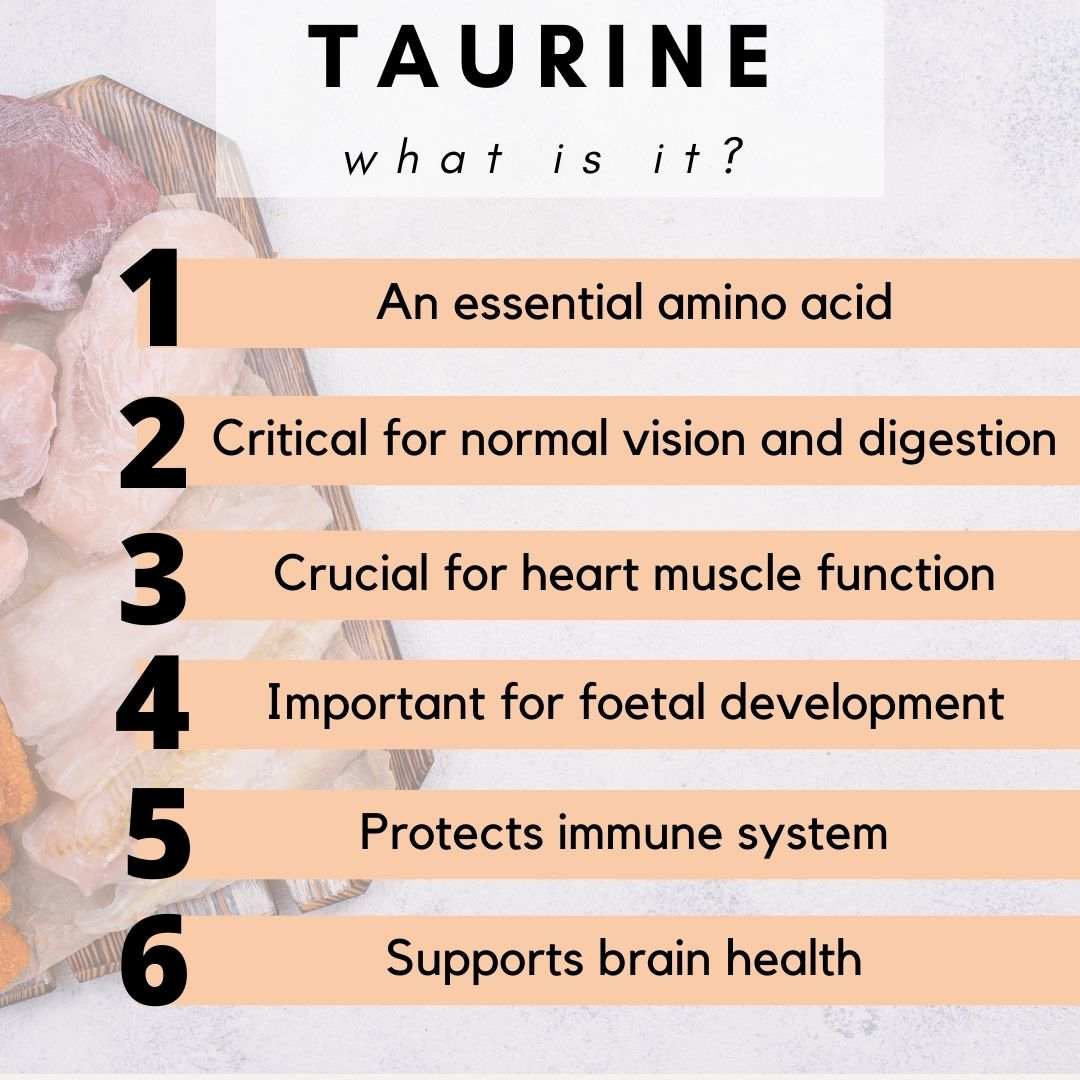 PetzPark Multi Vitamin for Cats with taurine supports heart, brain, immune health, and vitality.