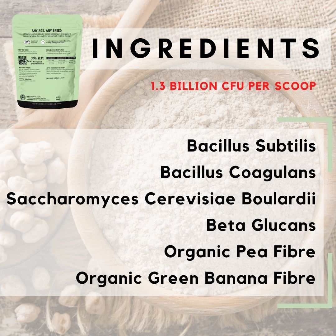 PetzPark Probiotic for Cats with prebiotics and probiotics for gut health, digestion, and wellness, 60 scoops packaging