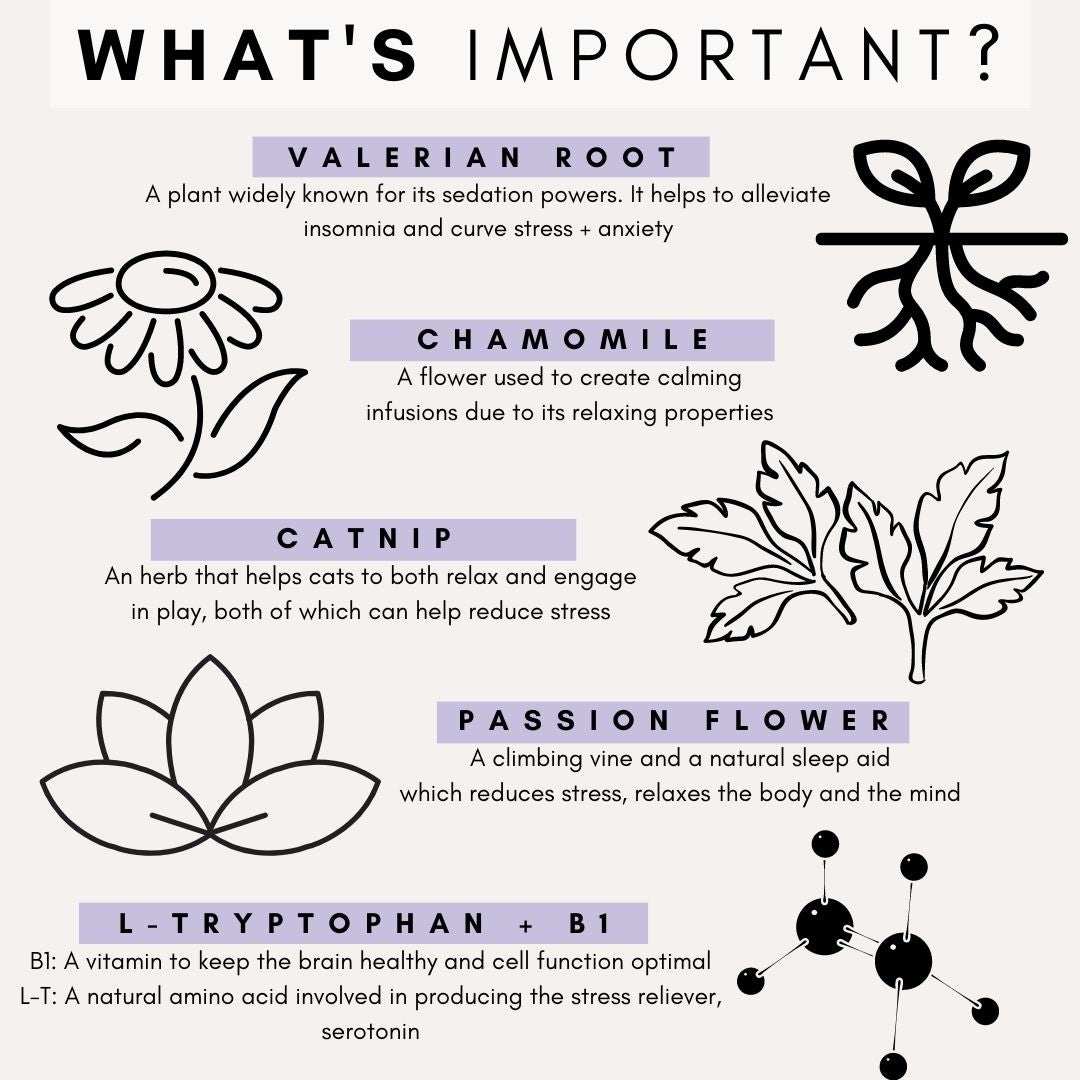 PetzPark Stress calming powder for cats with valerian root, chamomile, catnip, and passion flower to reduce anxiety and promote relaxation.