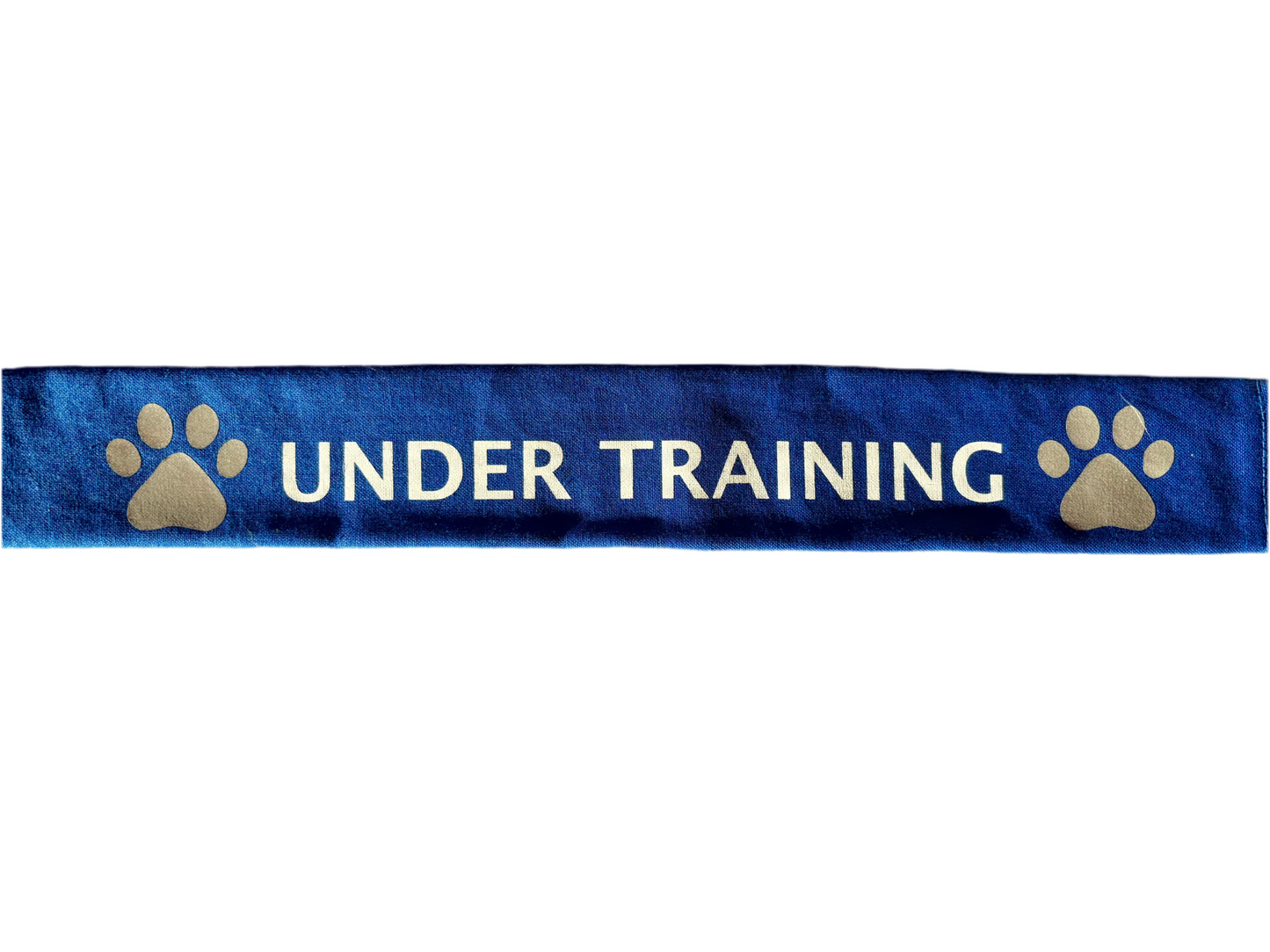 Blue cotton lead slip for dogs with reflective "Under Training" text and paw prints for visibility and safety.