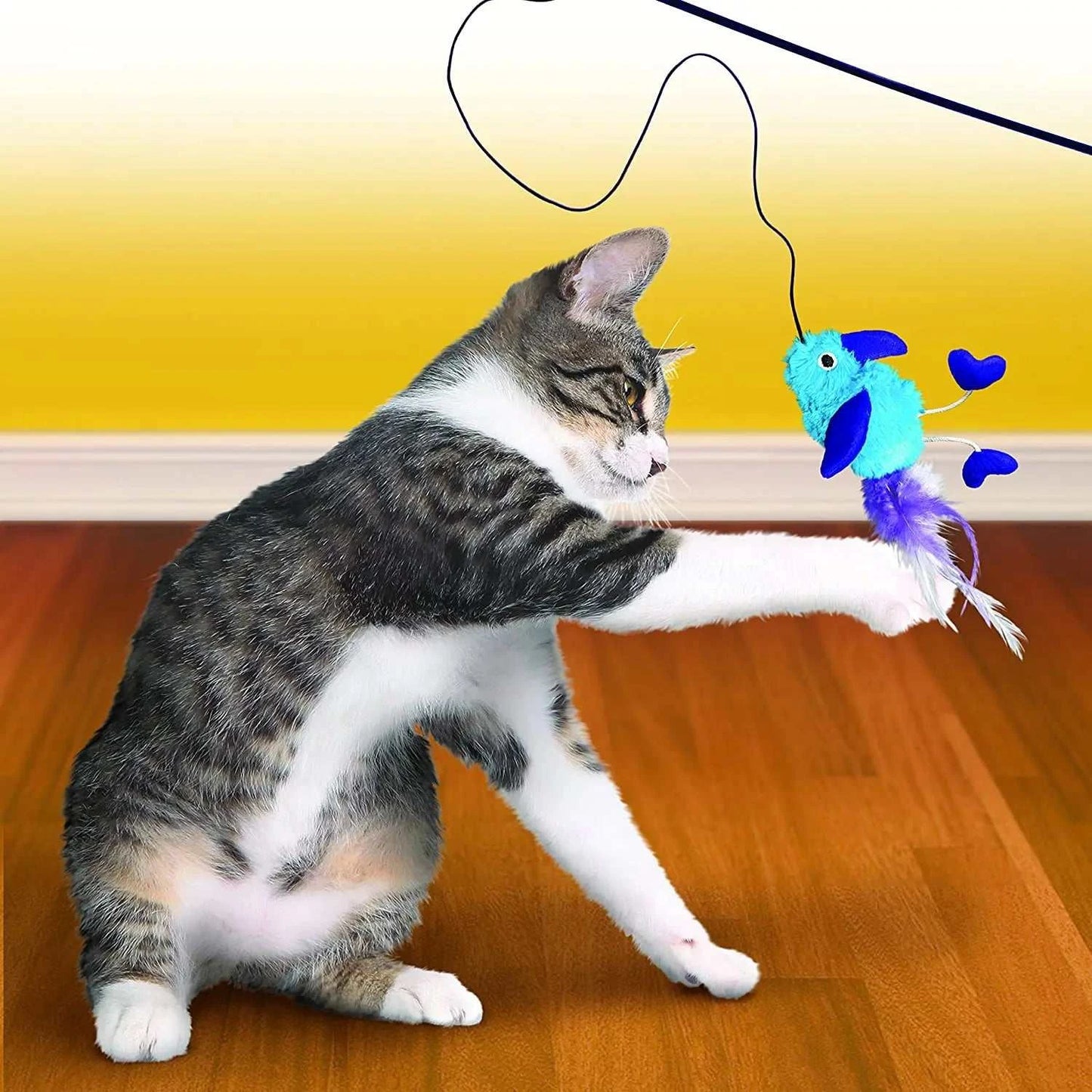 Cat playing with KONG Active Feather Teaser Catnip Toy featuring bright feathers.