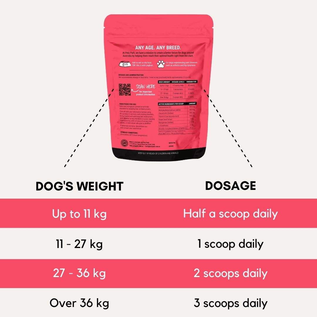 PetzPark Hip and Joint supplement for dogs supports joint health, reduces stiffness, and improves mobility for arthritis and hip dysplasia.