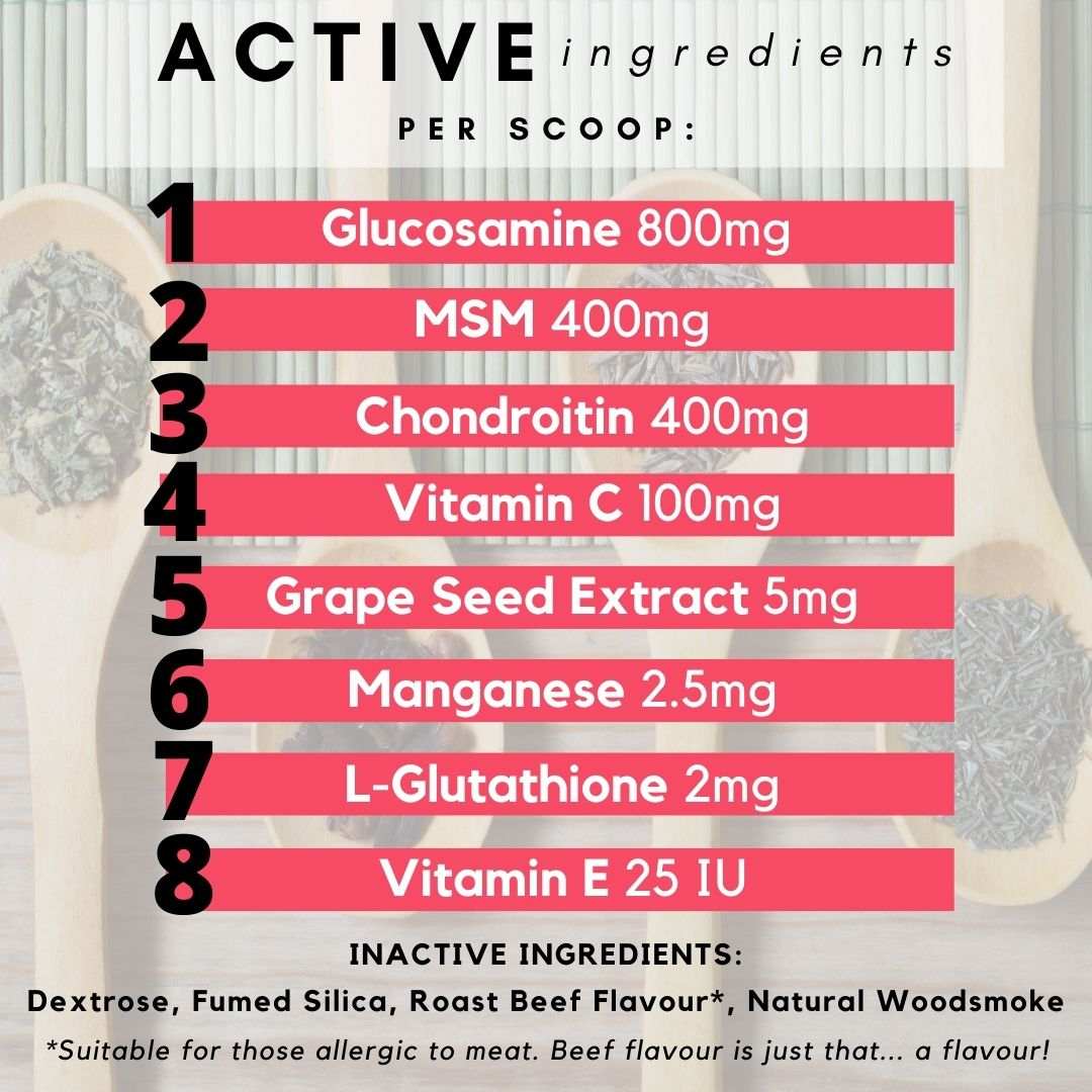 PetzPark Hip and Joint dog supplement with glucosamine and chondroitin for arthritis and mobility support