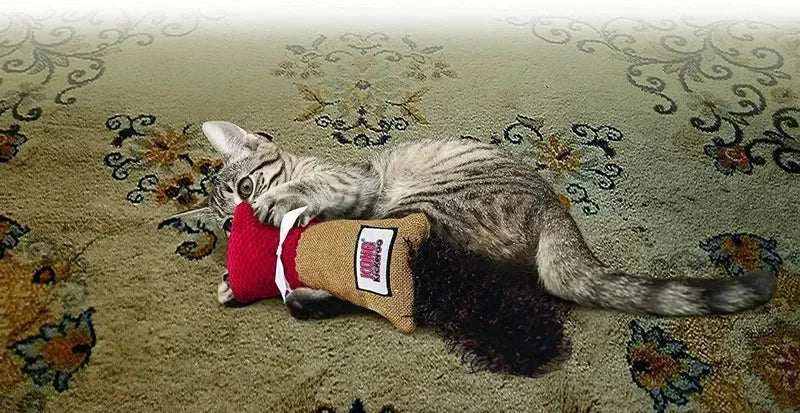 Cat playing with KONG Kickeroo Cuddler Cat Toy on patterned rug.
