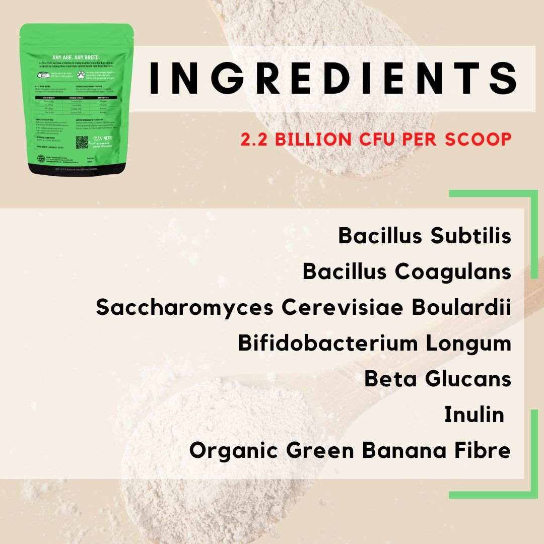 PetzPark Probiotic for Dogs powder with 2.2 billion CFU per scoop, featuring Bacillus Subtilis, Beta Glucans, and Organic Green Banana Fibre for dog gut health.
