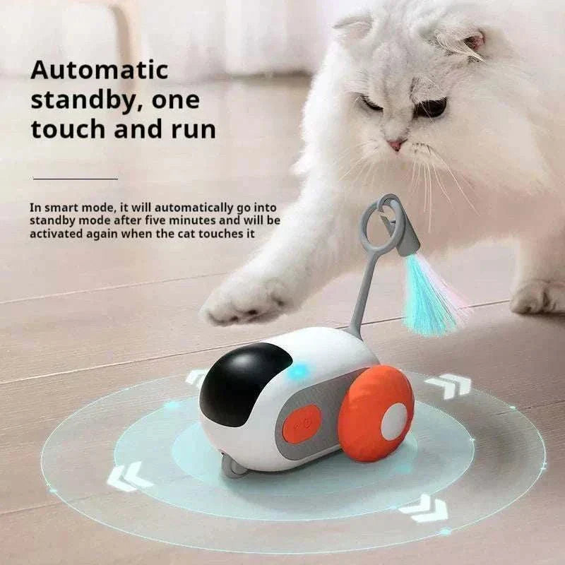 White fluffy cat playing with a remote control sports car cat toy with a mouse teaser attached and USB rechargeable feature