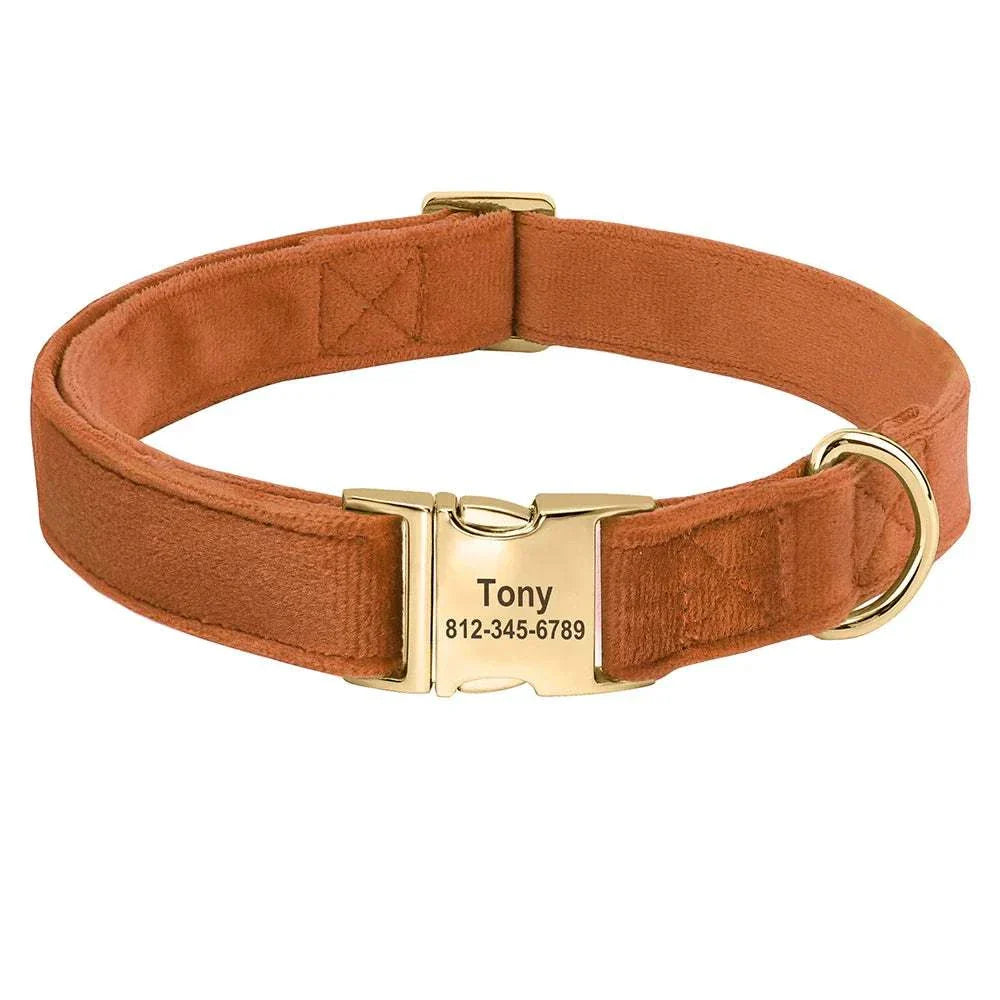 Personalised brown velvet adjustable dog collar with custom engraved gold ID buckle and secure fit