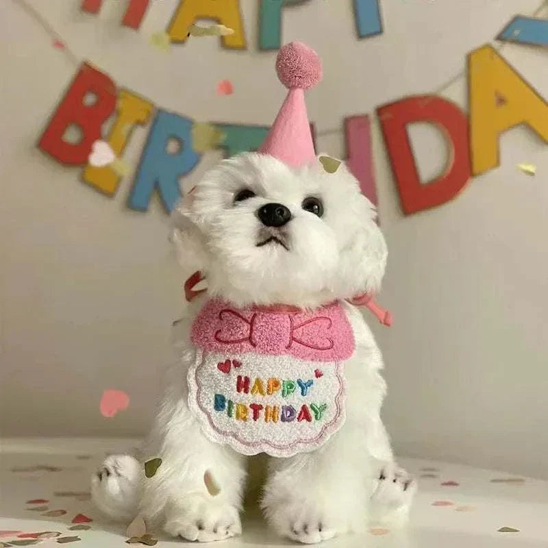 White dog wearing pink birthday hat and "Happy Birthday" bandana in festive setting