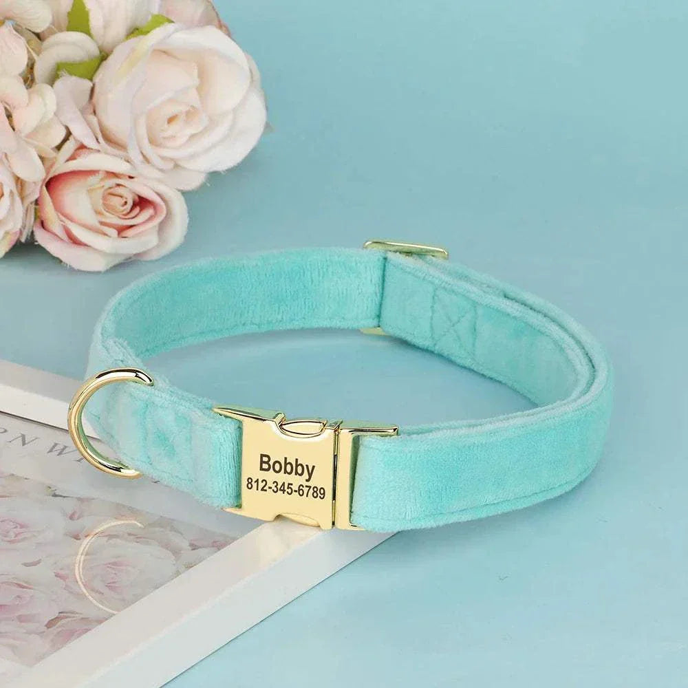 Personalised velvet adjustable dog collar in light blue with engraved gold ID buckle and floral background