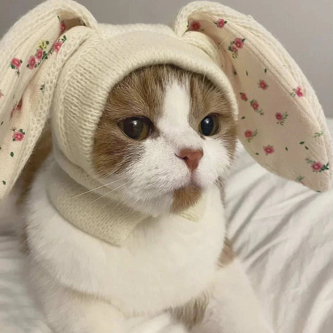 Cat wearing cute knitted rabbit ears hat with floral inner lining, cozy and warm pet costume accessory
