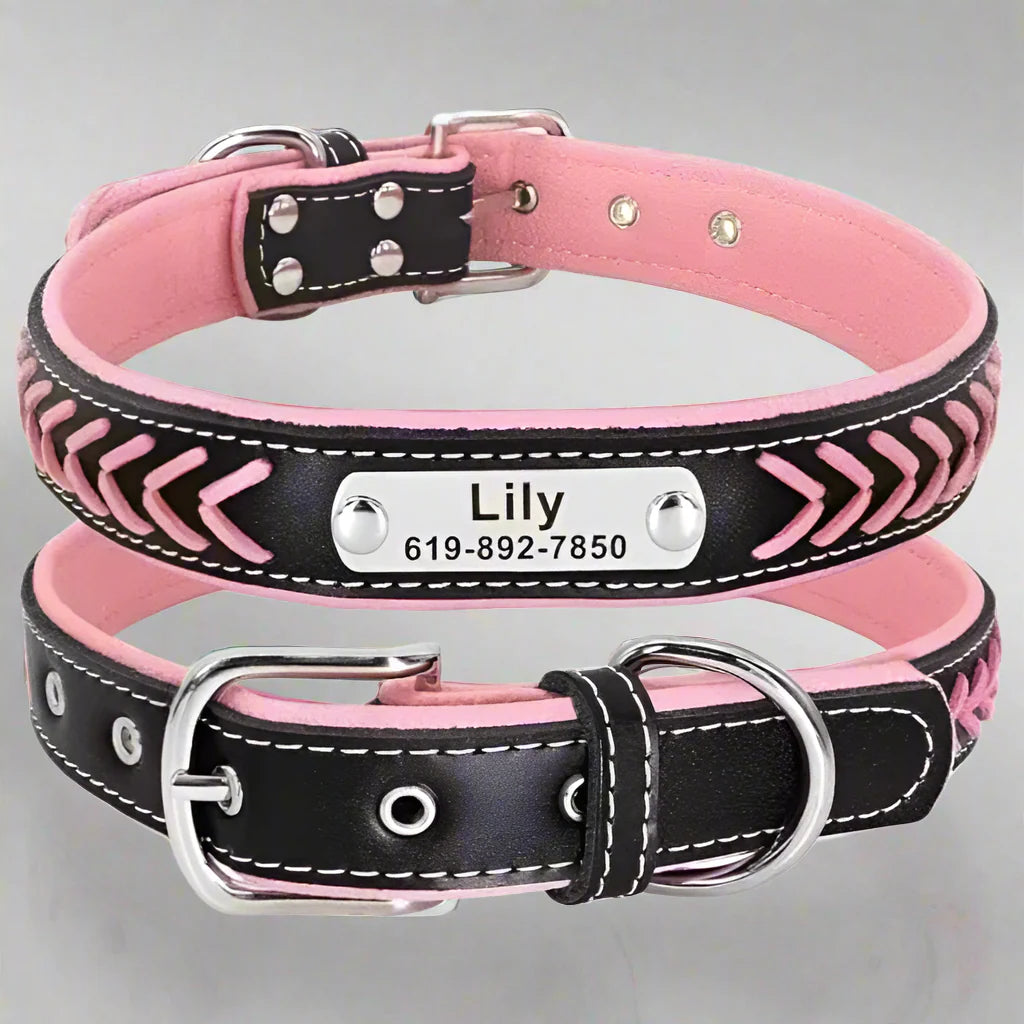 Personalised braided leather dog collar with custom engraved nameplate and pink stitching