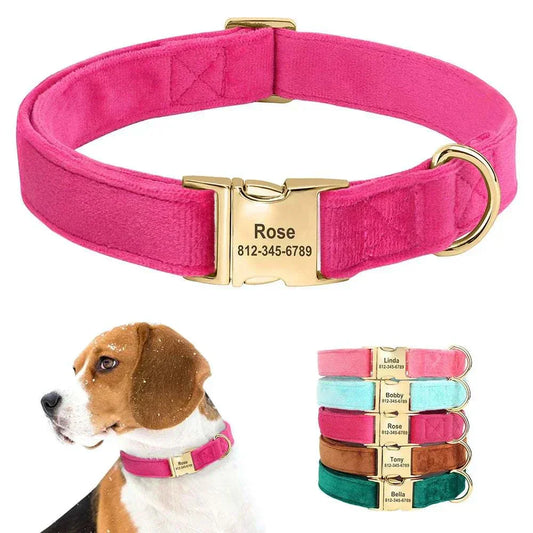 Personalised velvet adjustable dog collar in pink with custom engraved ID buckle, shown on beagle and in multiple colors.