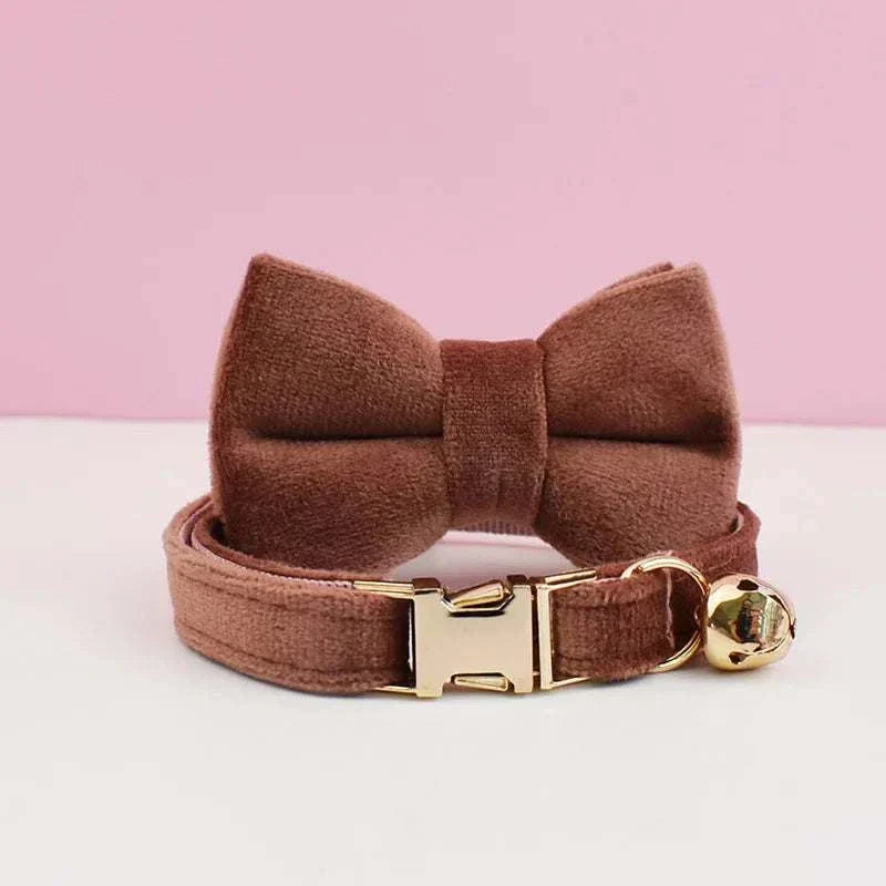 luxury velvet cat collar with personalized name plate, bell, and bow tie in brown velvet