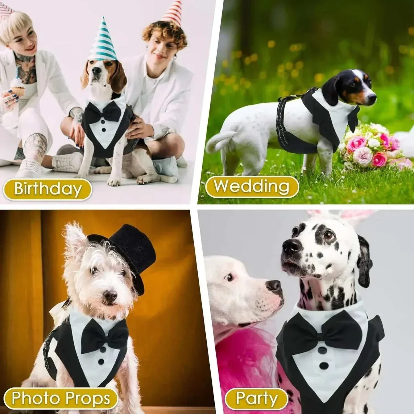 Dog tuxedo costume harness with adjustable bow tie on small dogs for birthday, wedding, photo props, and party events