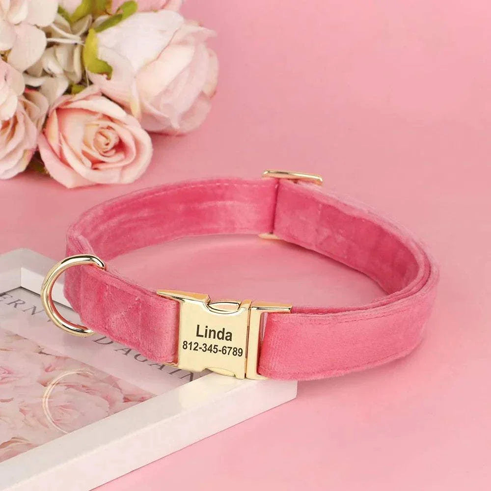 Personalised pink velvet adjustable dog collar with engraved gold buckle and ID tag