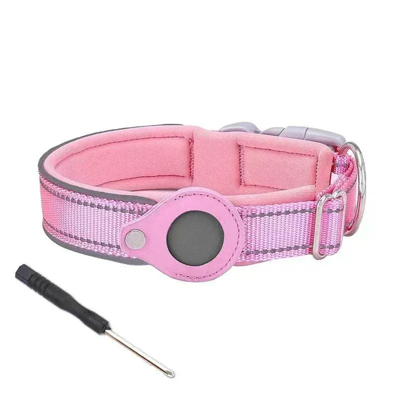 Small dog wearing an adjustable Air-Tag Reflective Collar with secure AirTag holder and reflective safety strip