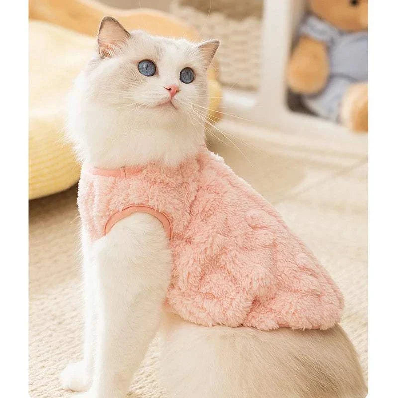 White cat wearing soft cozy fleece sweatshirt pink jumper indoors