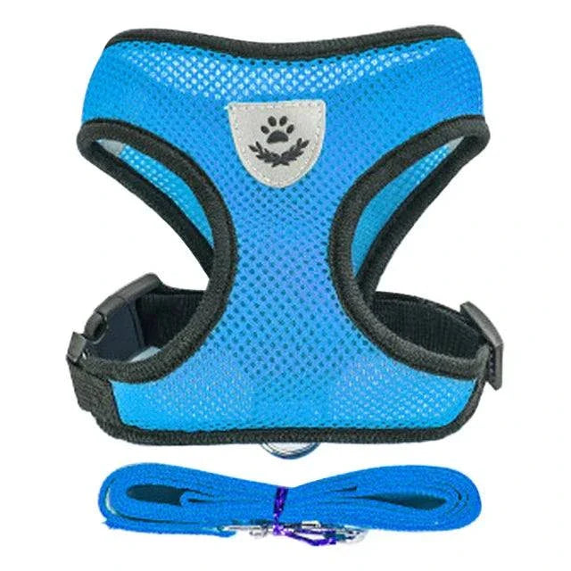 Blue adjustable breathable harness for cat or small dog with matching leash