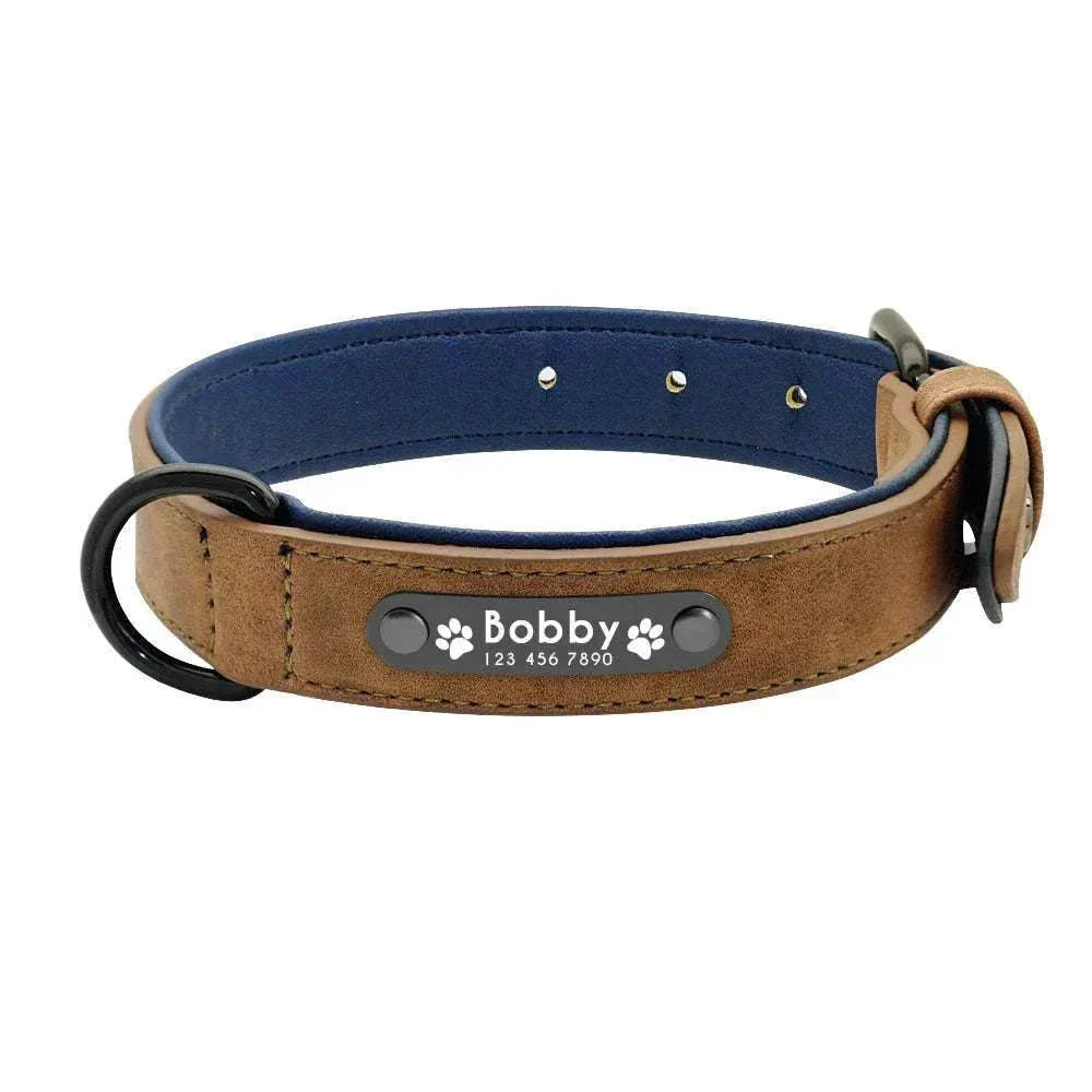 customised leather dog collar with personalized name and phone number plate in brown and blue design