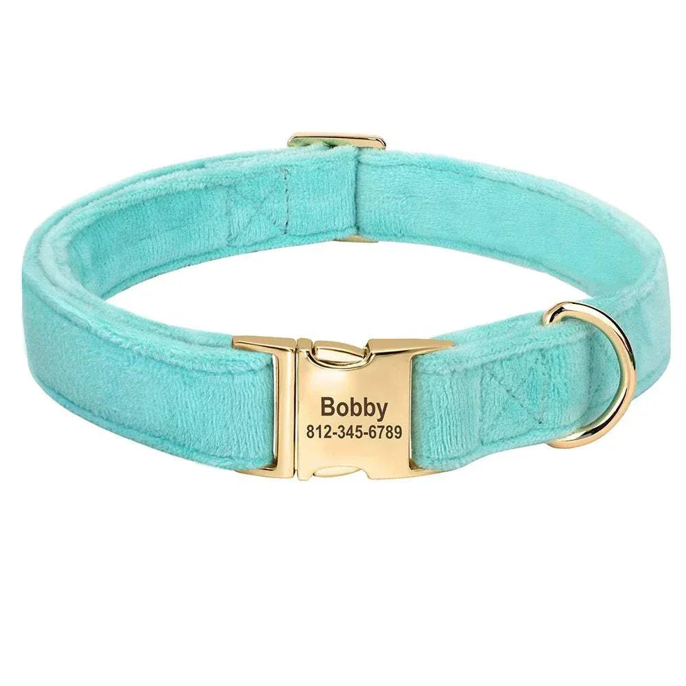 Personalised velvet adjustable dog collar in turquoise with custom engraved gold buckle and secure ID detail