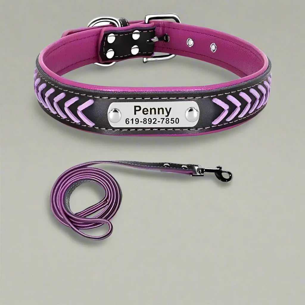 Personalised braided leather dog collar and matching leash with custom engraved name and phone number tag in purple and black colors