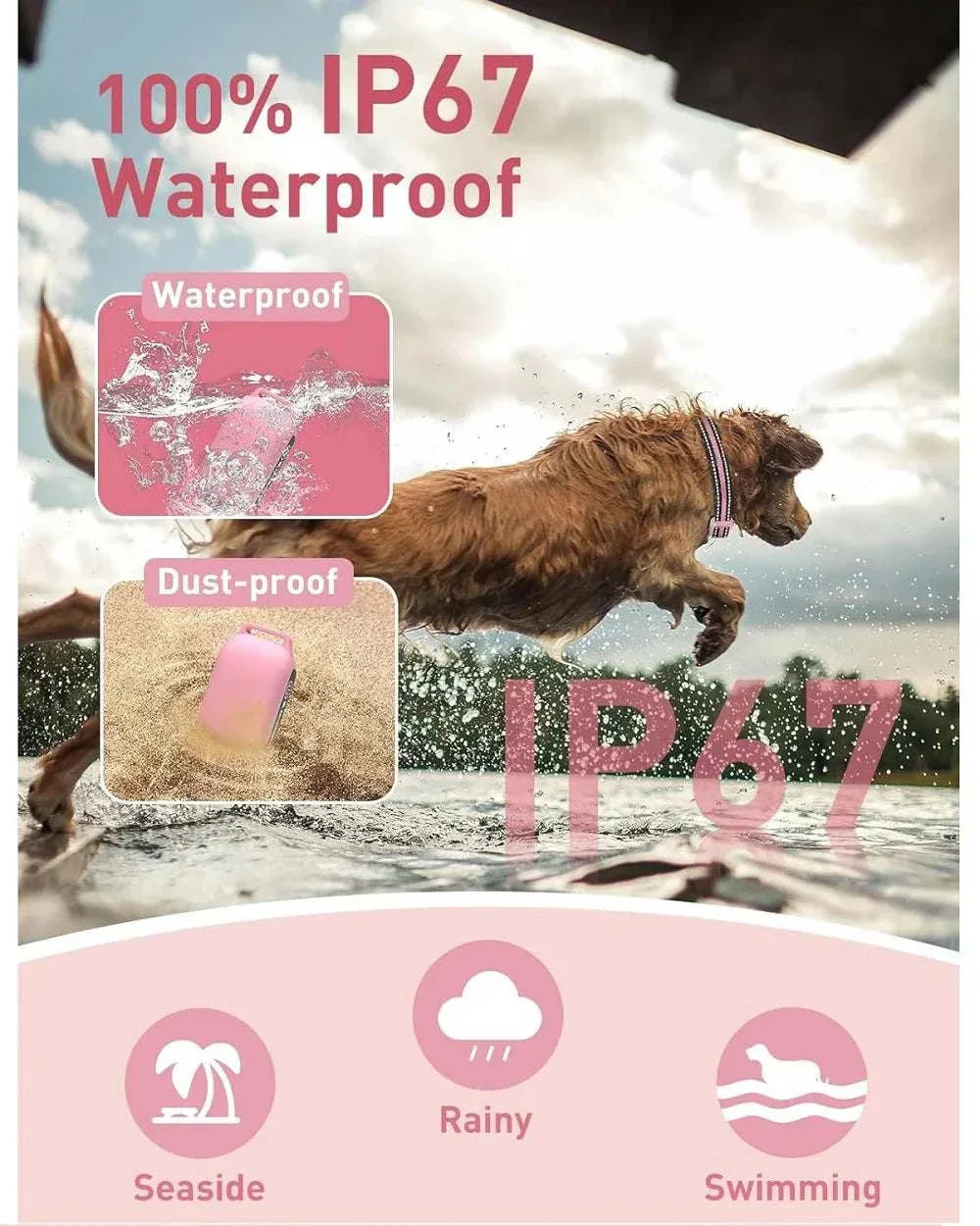 No Shock Dog Training Collar waterproof and dust-proof for outdoor training with beep and vibration functions