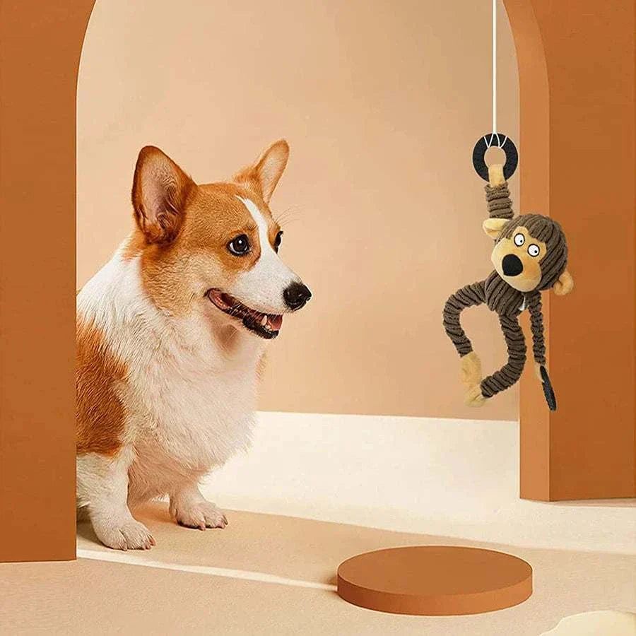Corgi dog playing with a hanging squeaky puppy plush chew toy for teething and small dogs